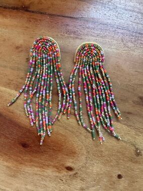 Colorful Seed Bead Fringe Statement Earrings Boho Festival Tassel